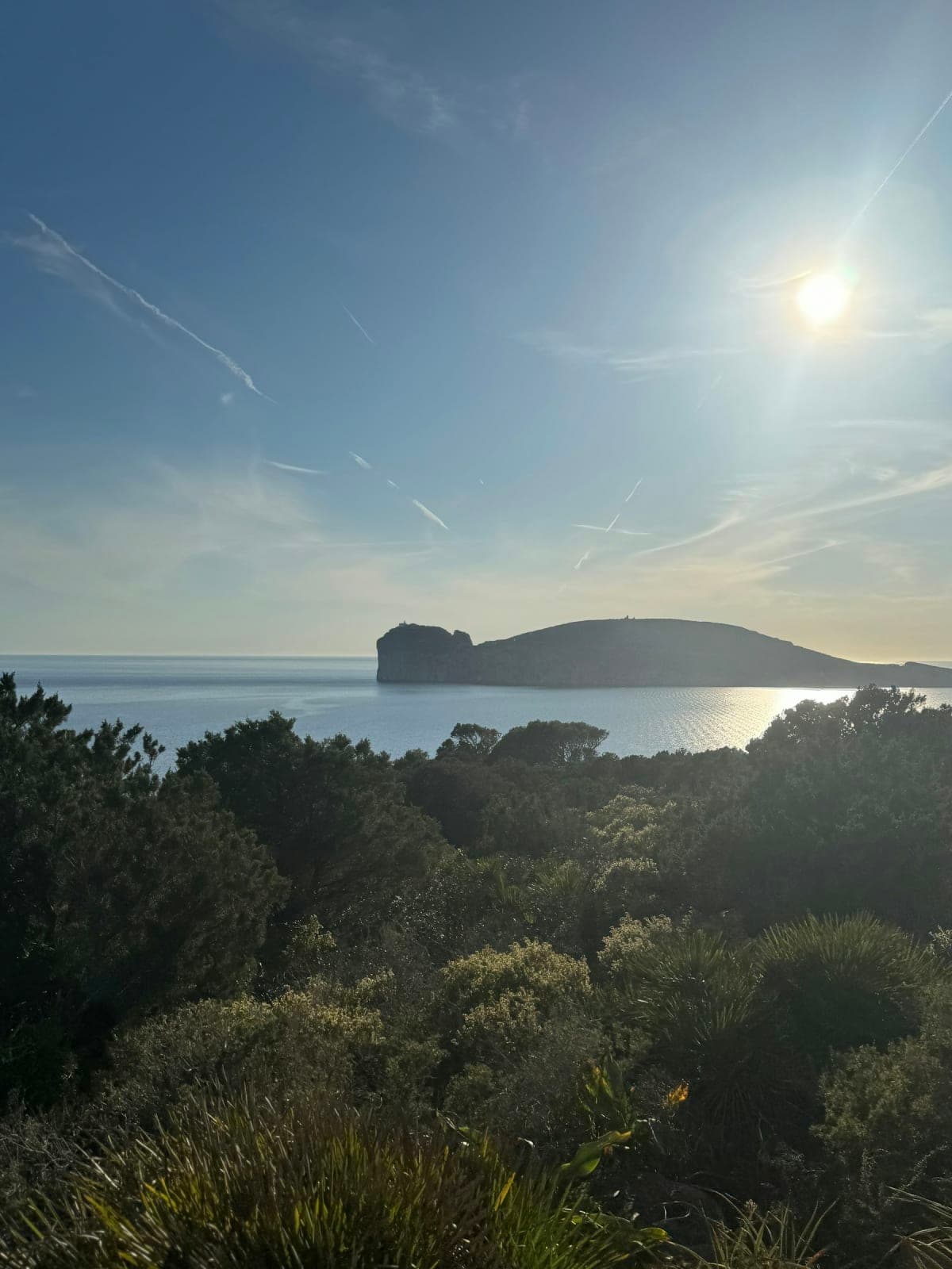 SUP & Sea Hiking: 4-Day Boutique Wellness Retreat in Alghero 4