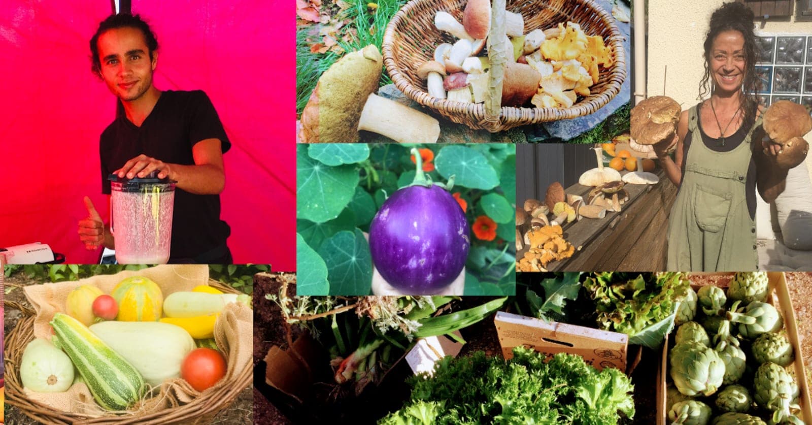 Art of living vegan 1