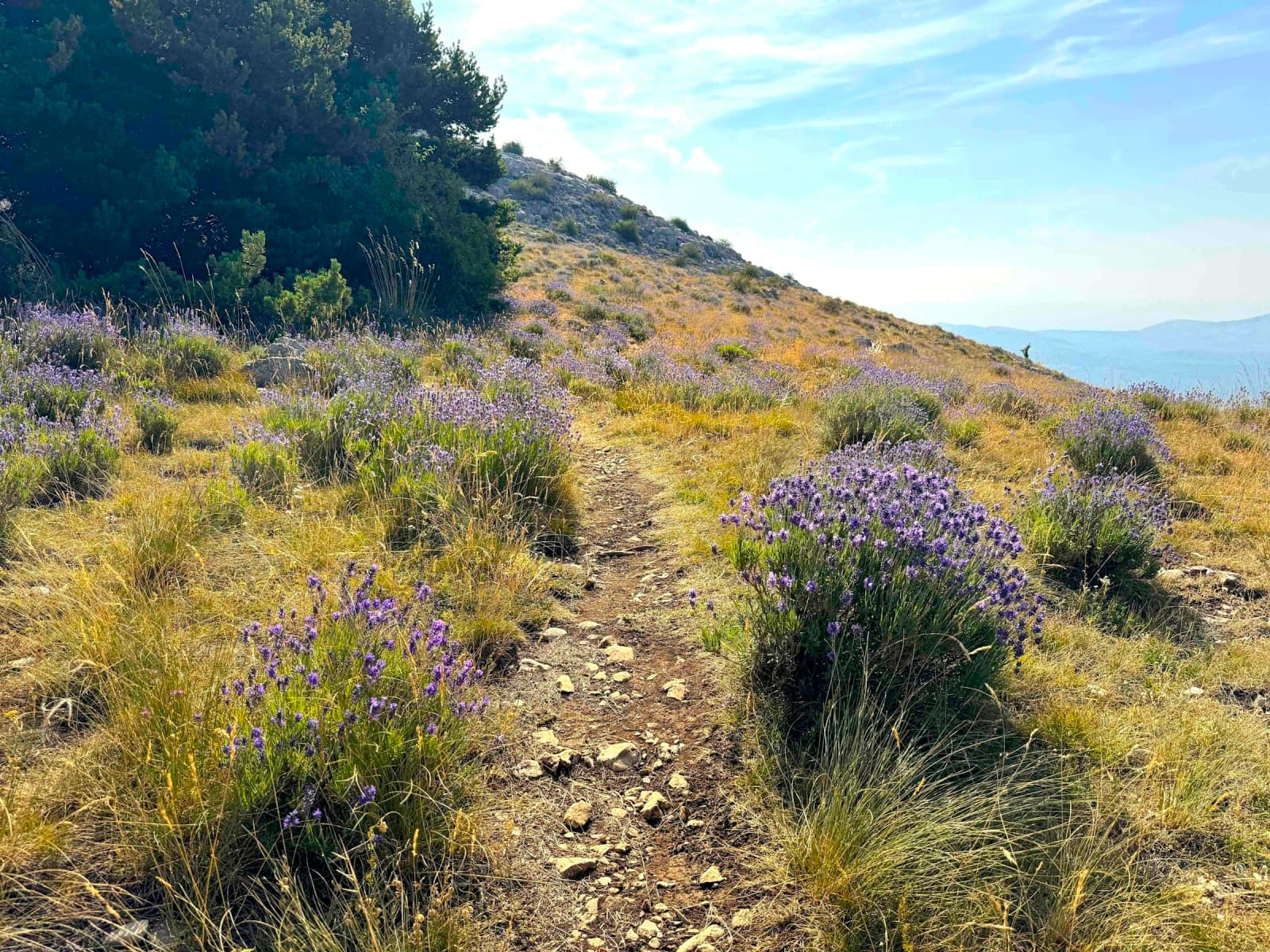 Provence Hiking Retreat: Culture, Nature, Food & Wine 4