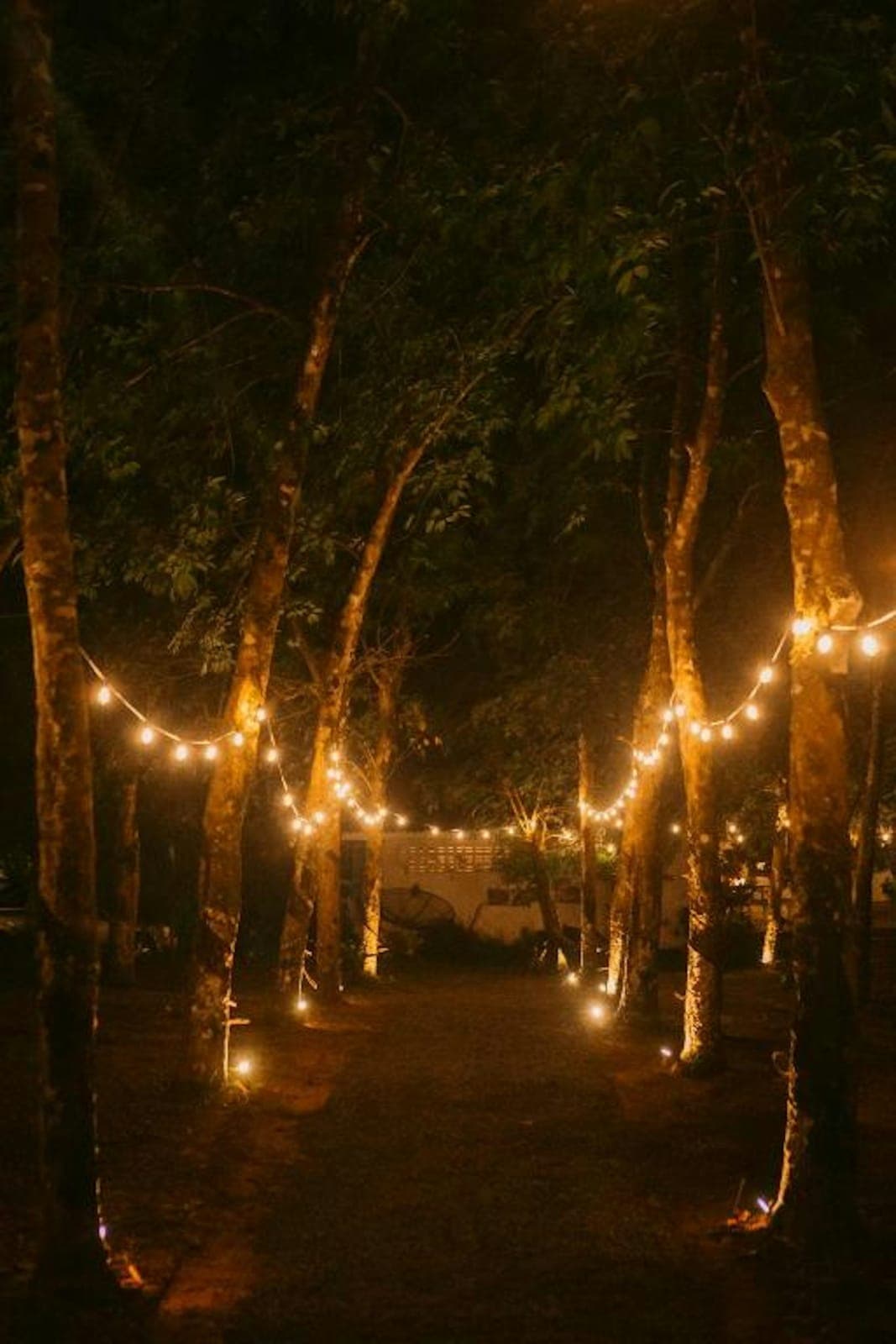 Kood Life Retreat-Lab GardenVilla 3