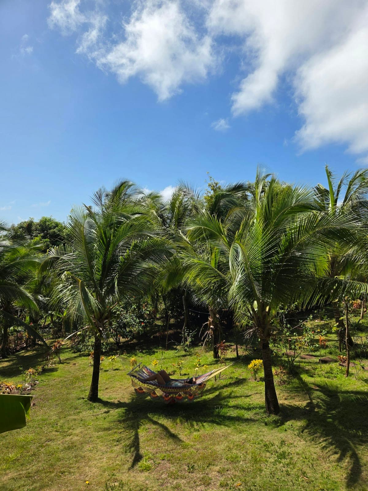 Host Your Retreat on a Car-Free Caribbean Island 5