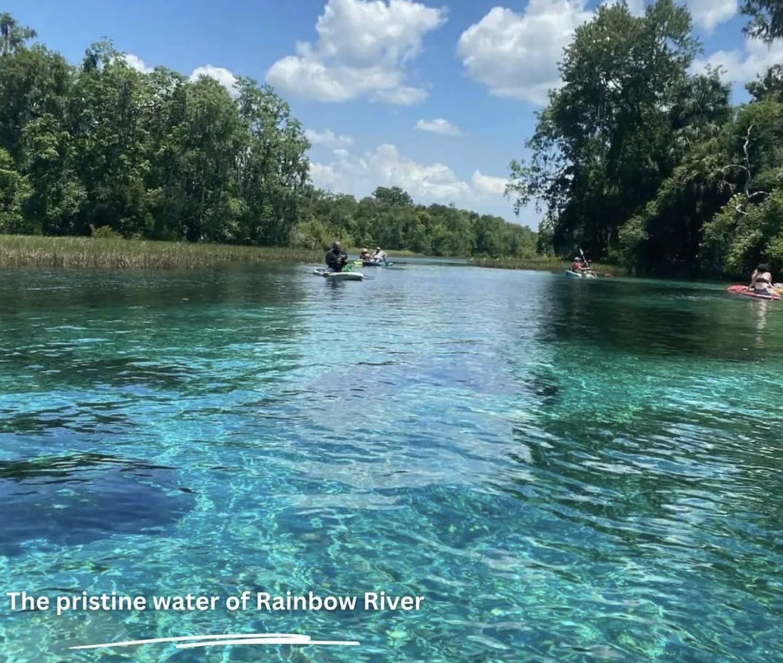Rainbow River Bungalows 3