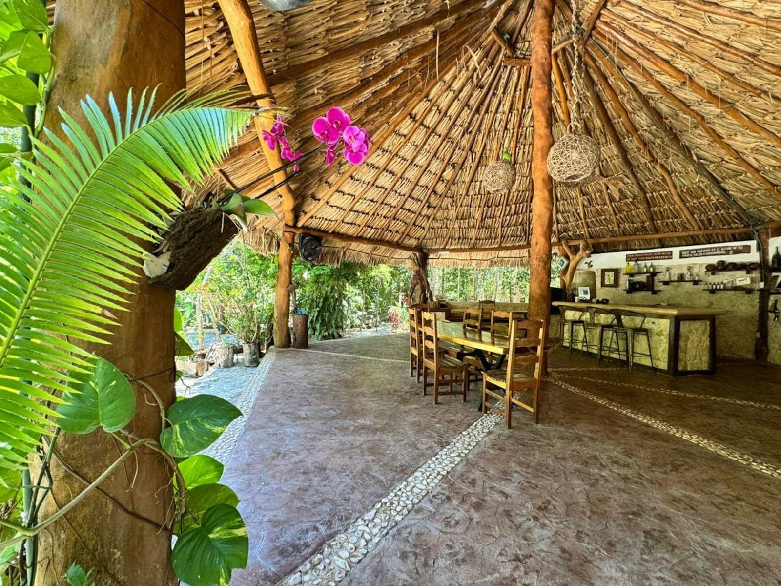 Riviera Maya Jungle Retreat Venue with Cenotes & Temazcal 4