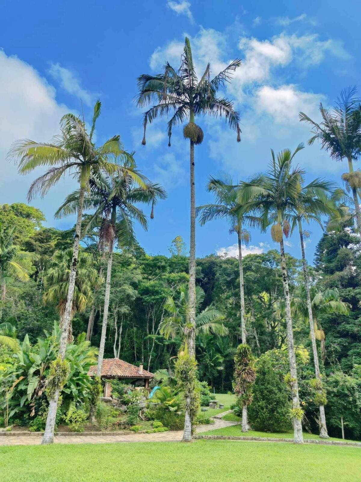 7 Day Yoga, Meditation, Sound Bath & Breathwork Retreat 2