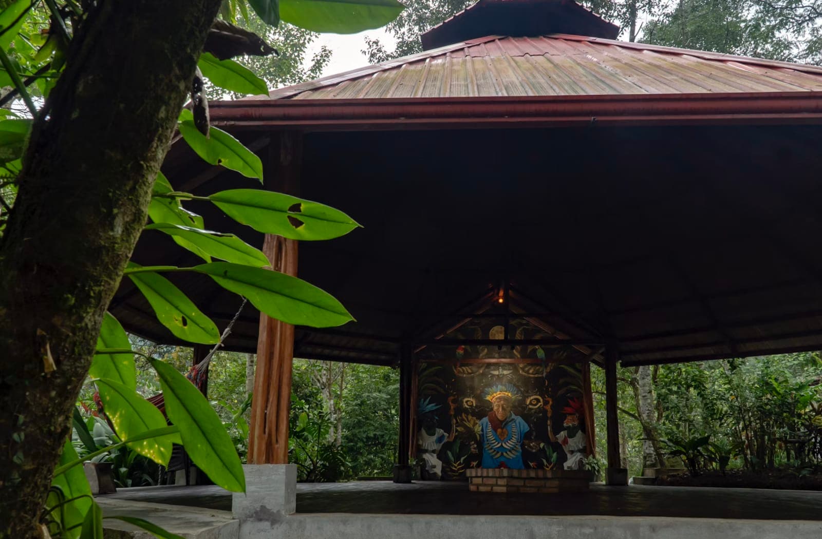 Medicine Maker Ayahuasca Retreat | Putumayo, Colombia 3