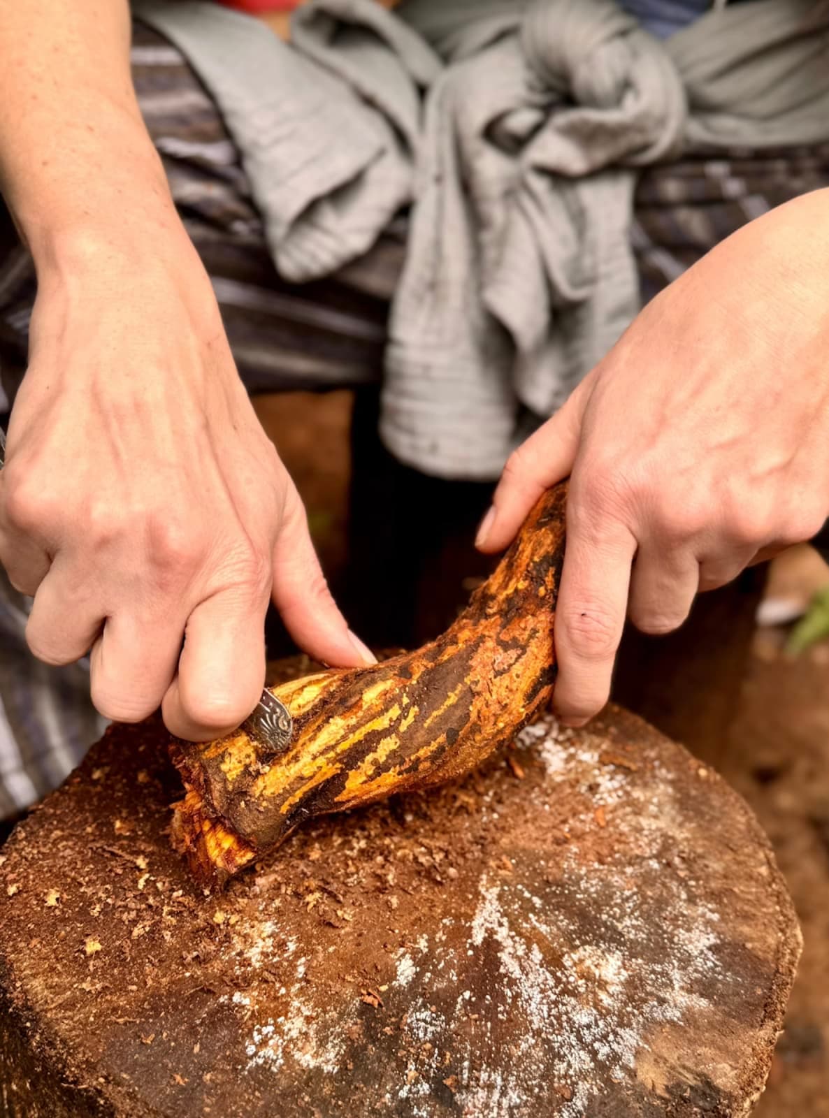 Medicine Maker Ayahuasca Retreat | Putumayo, Colombia 5