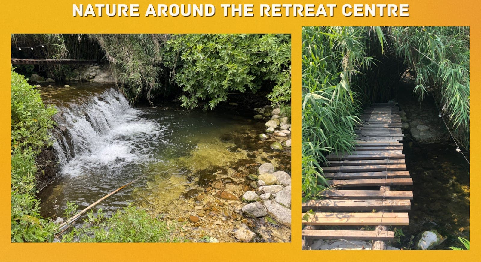 Constellation as a Ritual - 5-day Certification Retreat 2