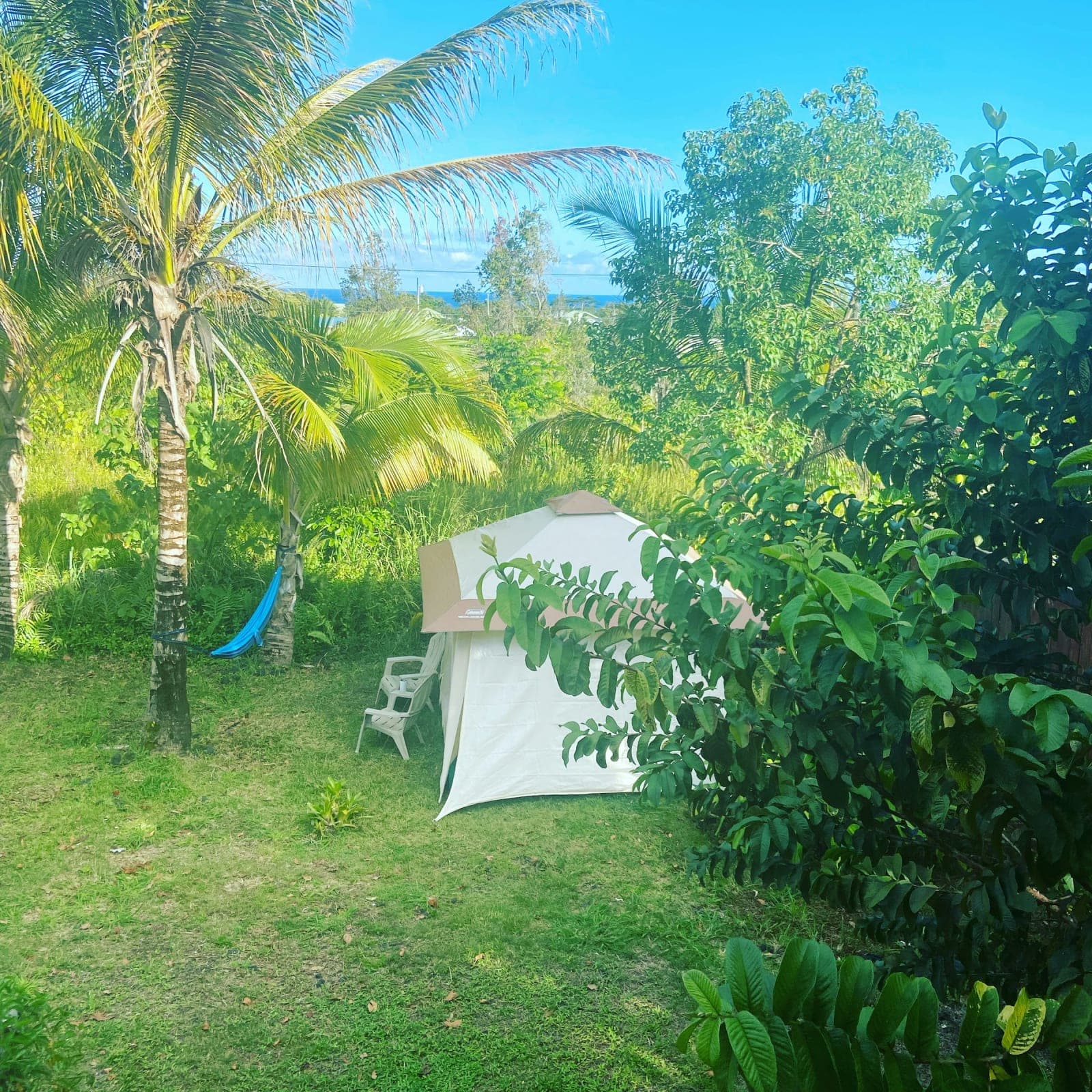 Hawaii Coastal Retreat House 3