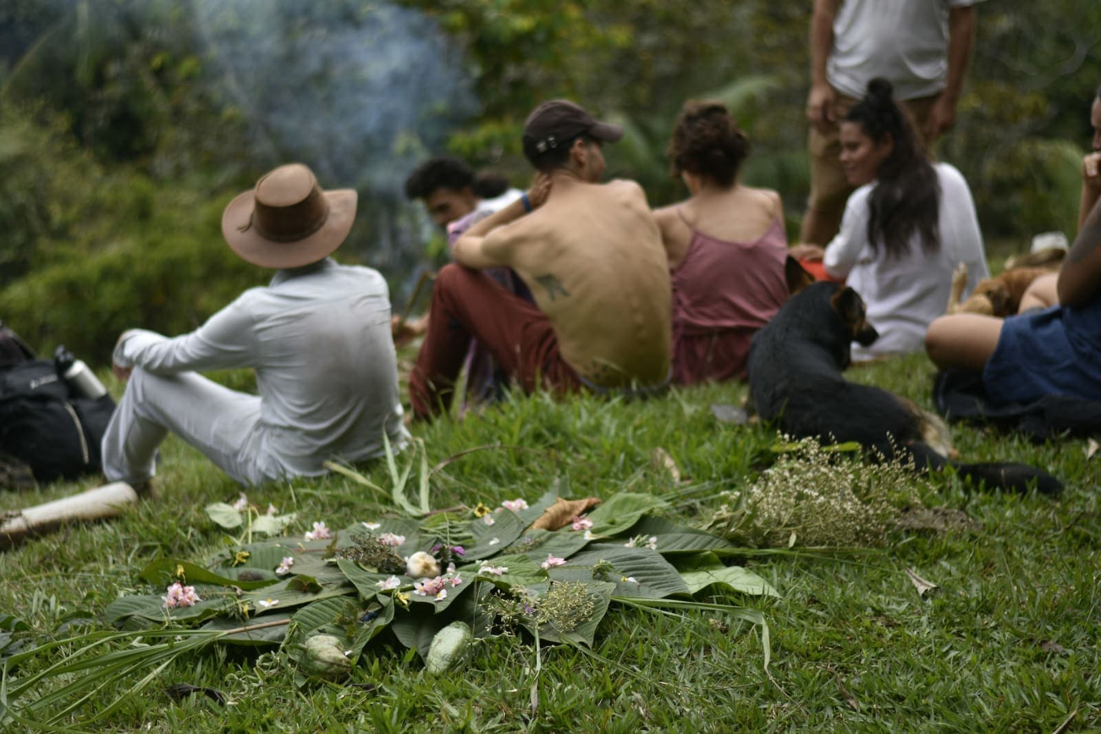 120 days Fellowship Program in the mountains of Colombia 4