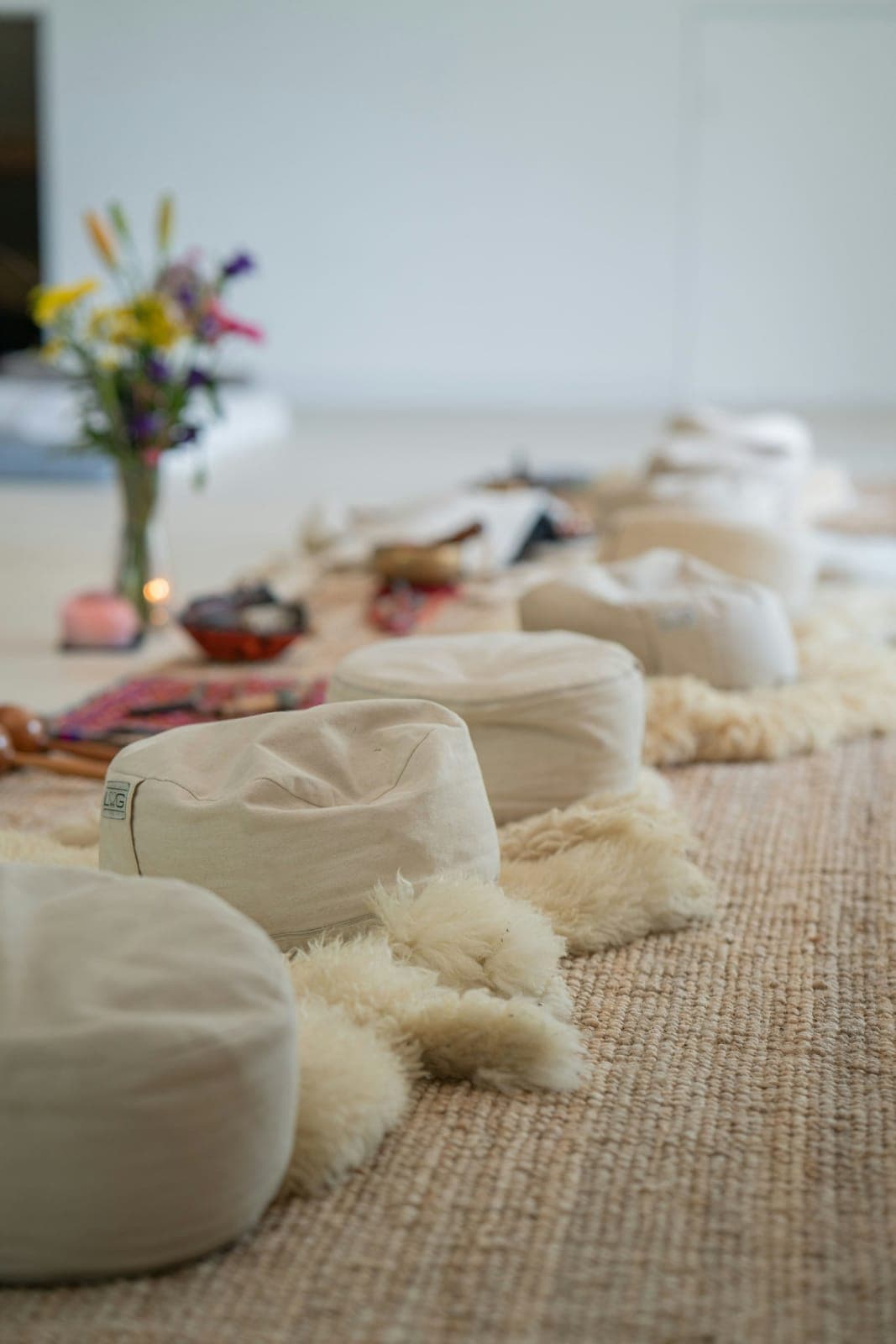 Private Psilocybin Retreat - Venlo - Optional overnight stay 4