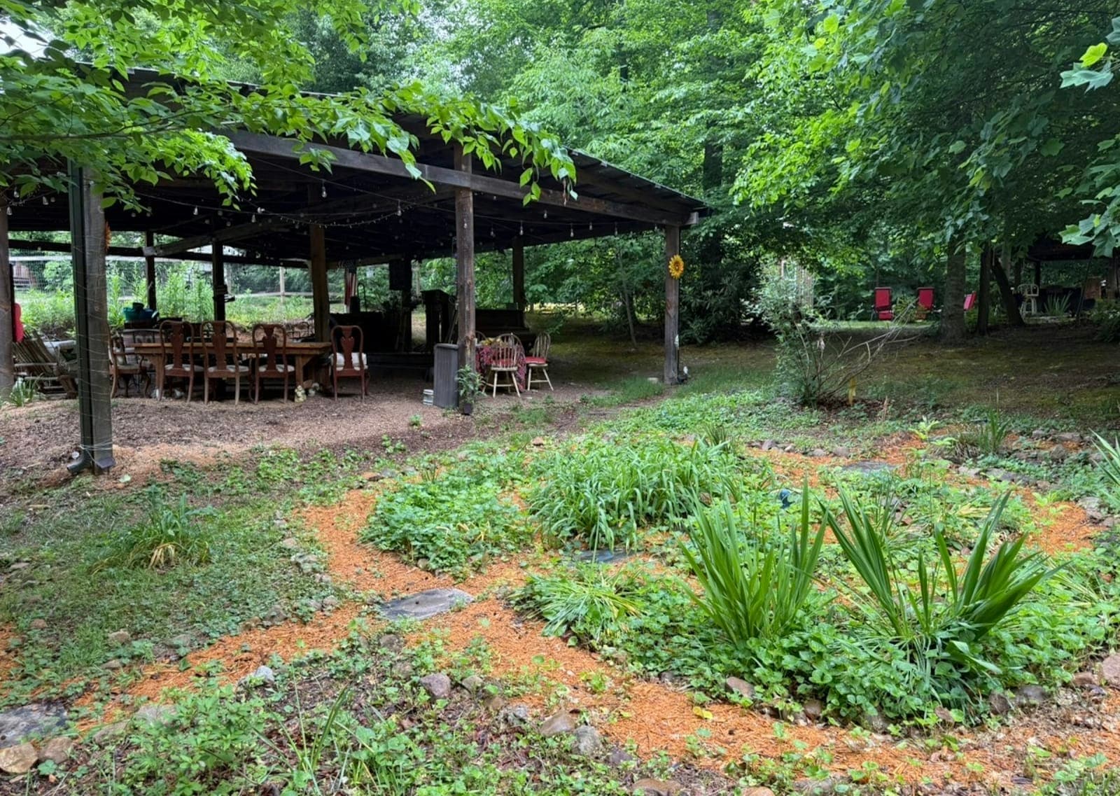 Soul Remembrance Activation Portal & 4-Night Retreat