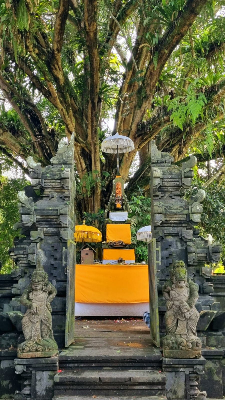 Bali Retreat: In the land of sacred waters