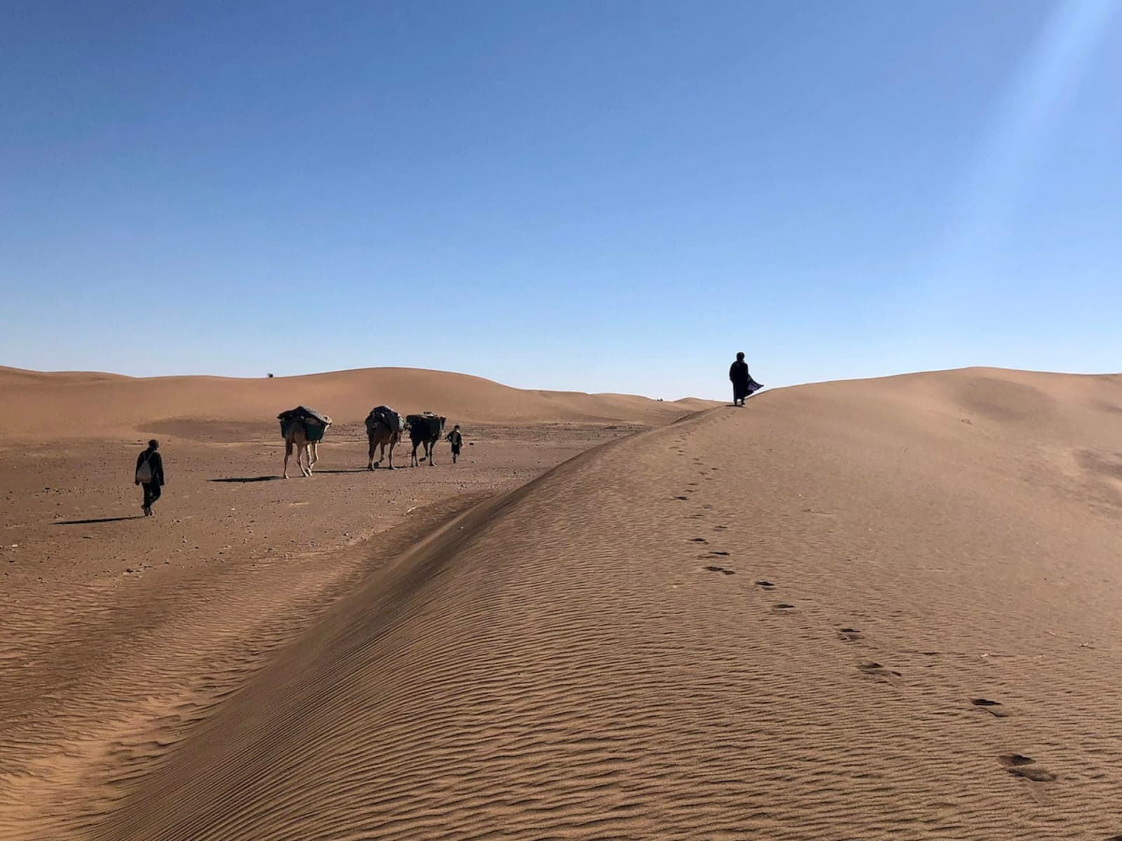 11-Day Yoga & Desert Caravan through the Moroccan Sahara 2