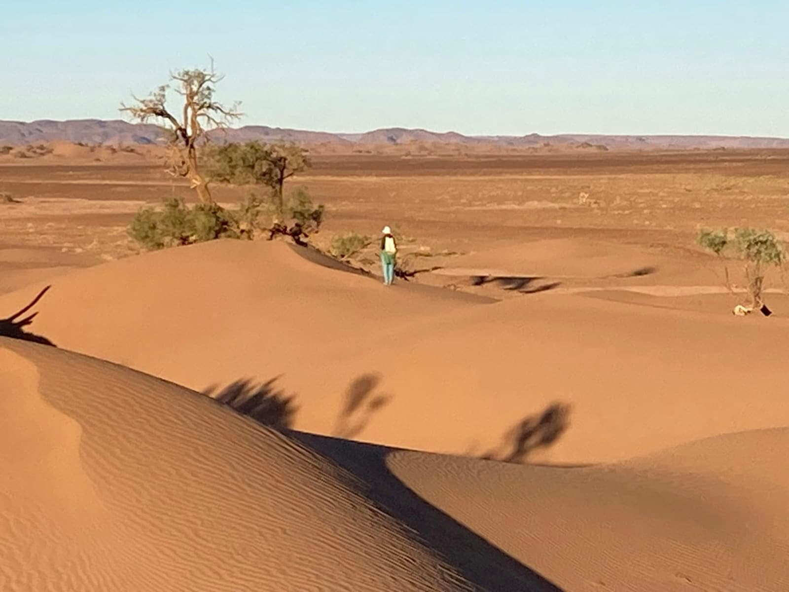 11-Day Yoga & Desert Caravan through the Moroccan Sahara 3