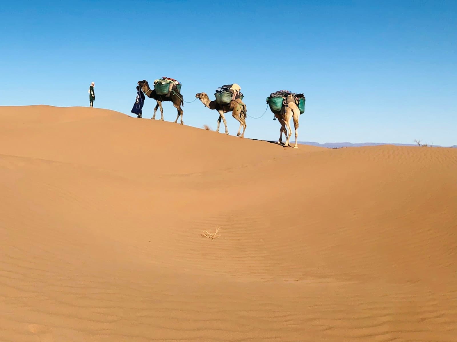 11-Day Yoga & Desert Caravan through the Moroccan Sahara 4