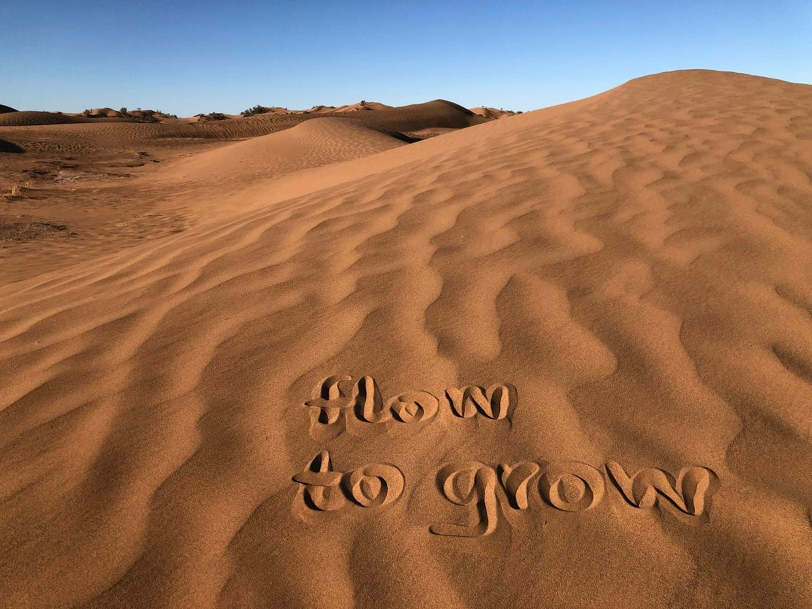 11-Day Yoga & Desert Caravan through the Moroccan Sahara 5