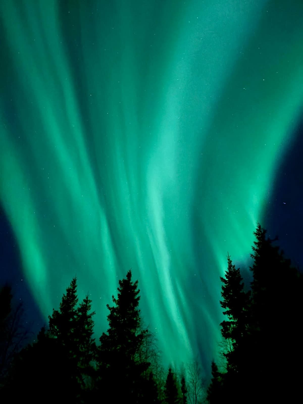 Suon Laulu Retreat Venue – Intimate Nature Space in Finland 3