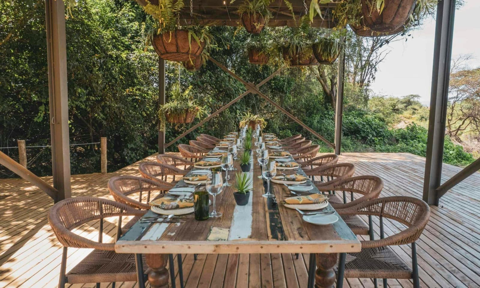 Wilderness to Ocean: An 8-Day Soul Renewal Retreat 3