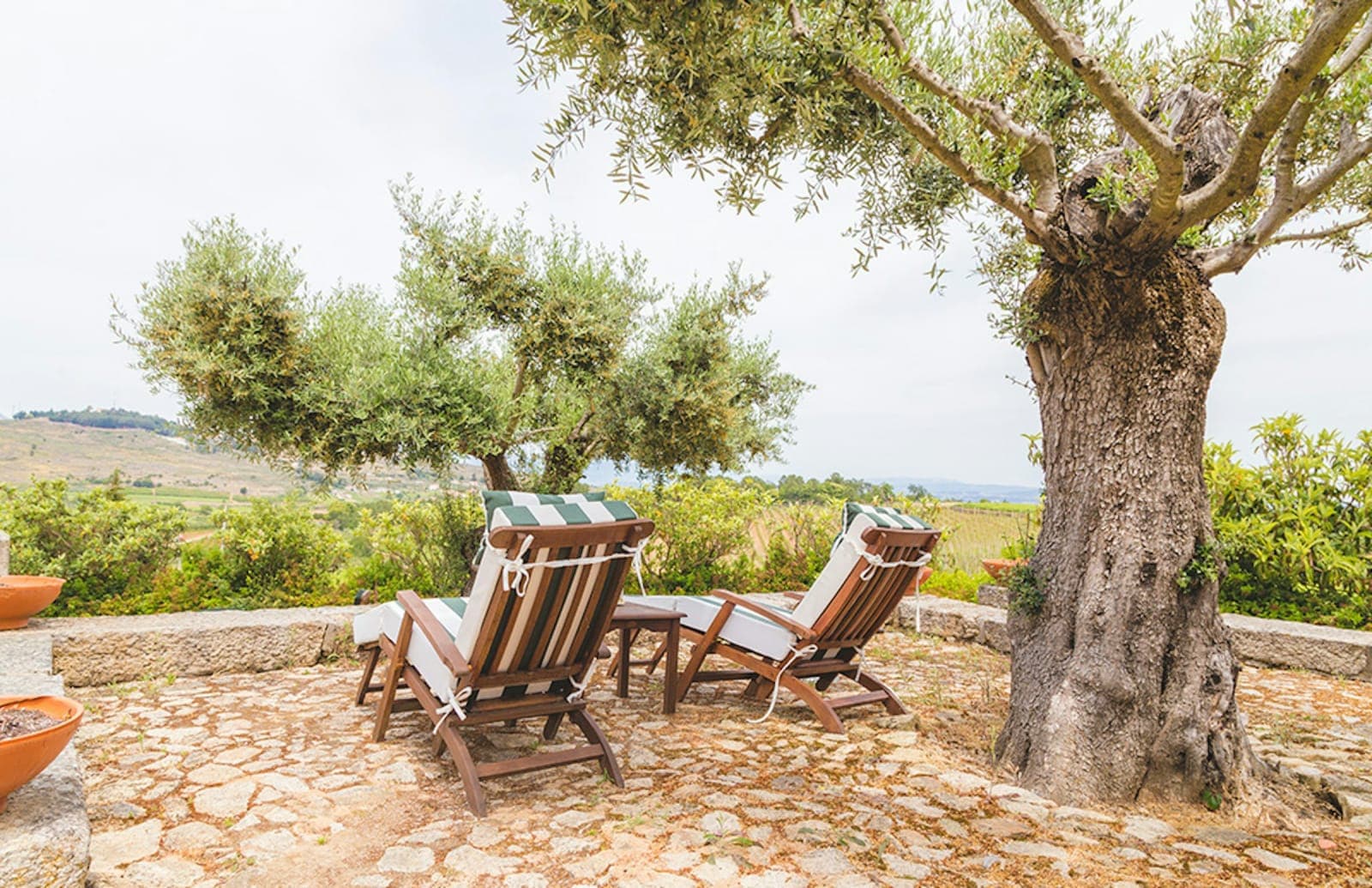 Quinta da Barroca – A Soulful Sanctuary in the Heart of the