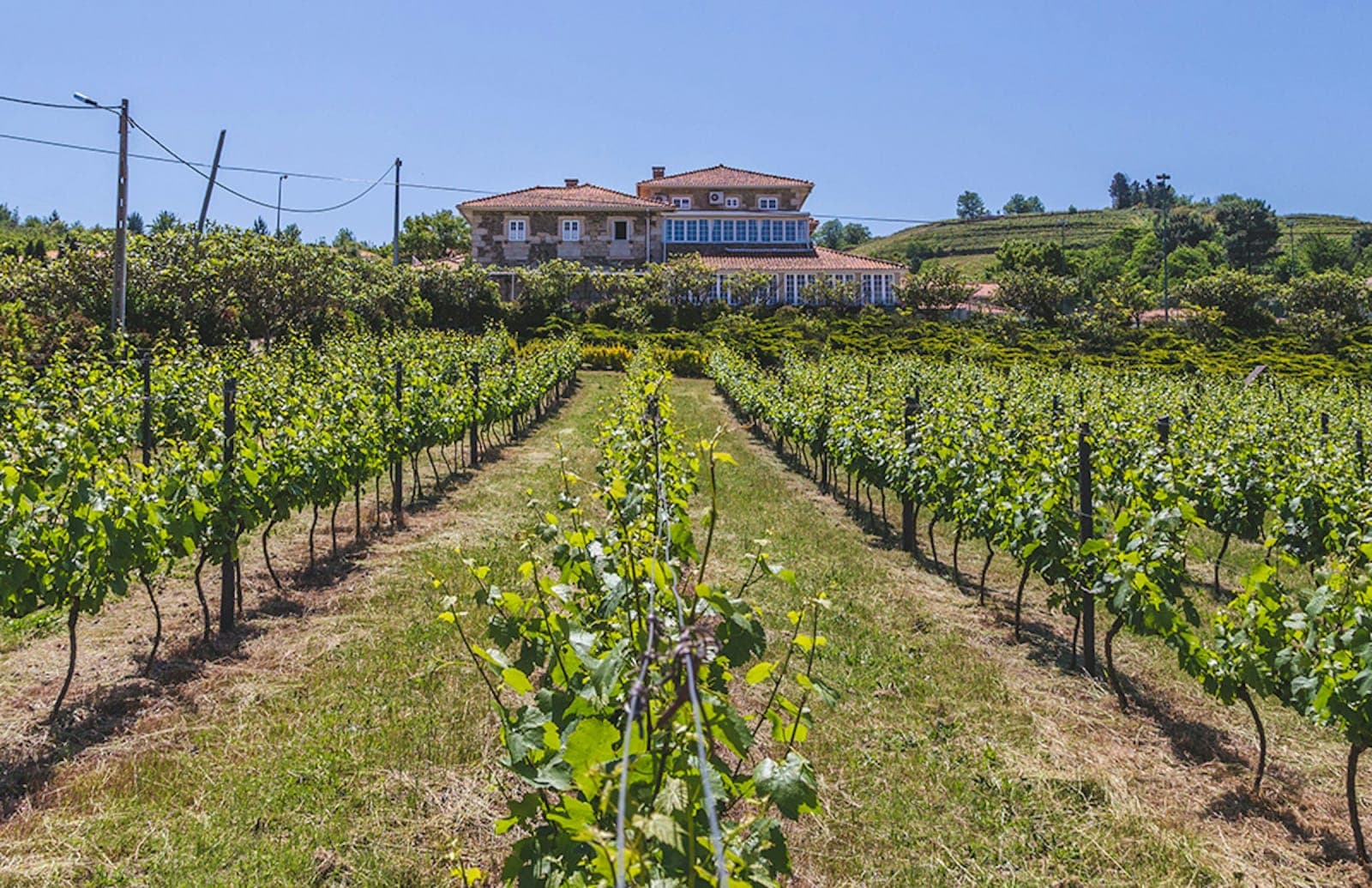 Quinta da Barroca – A Soulful Sanctuary in the Heart of the 2