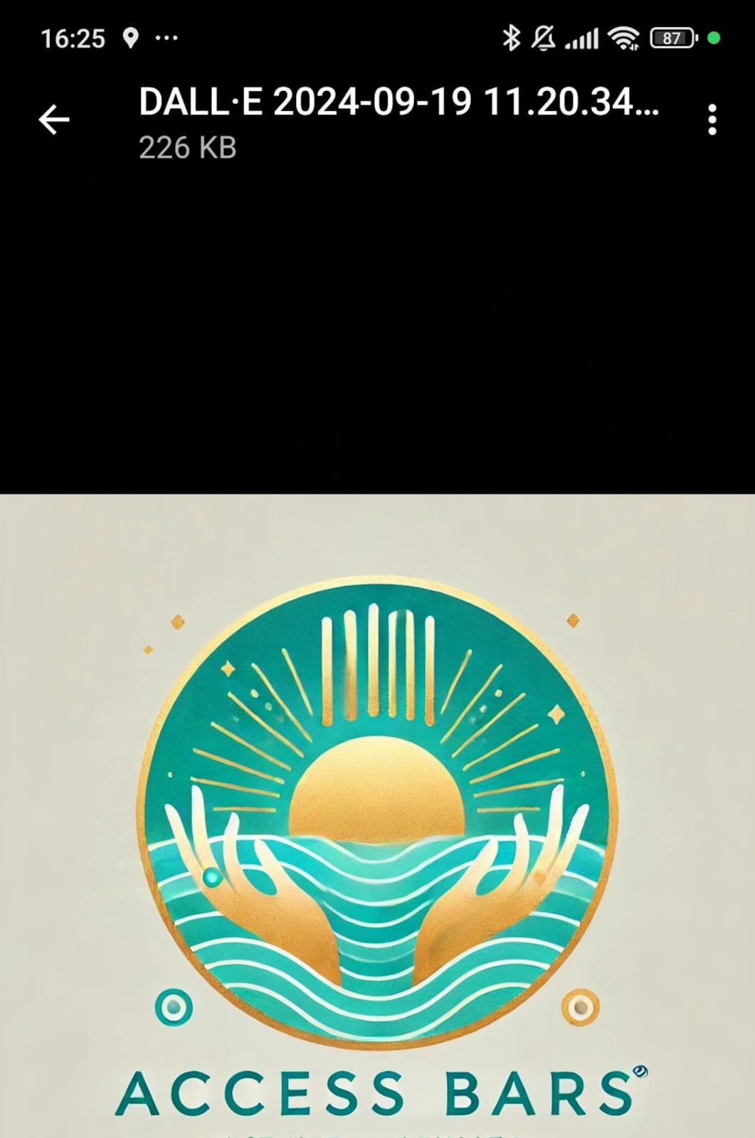 Access Bar's practitioner