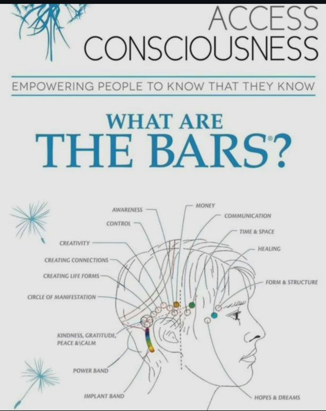 Access Bar's practitioner 2