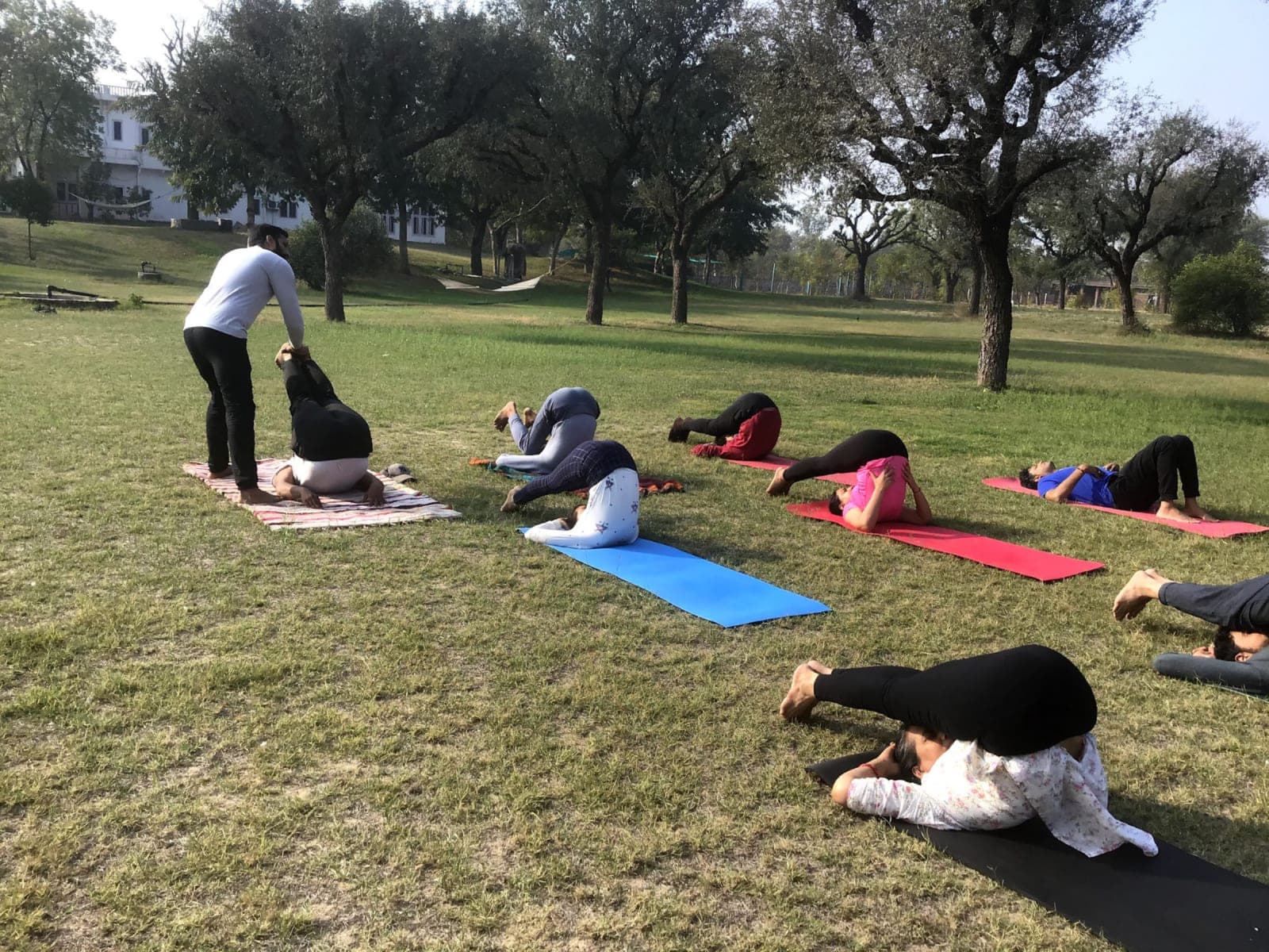 5 Nights Yoga Wellness Retreat at Savista, Jaipur, India 2