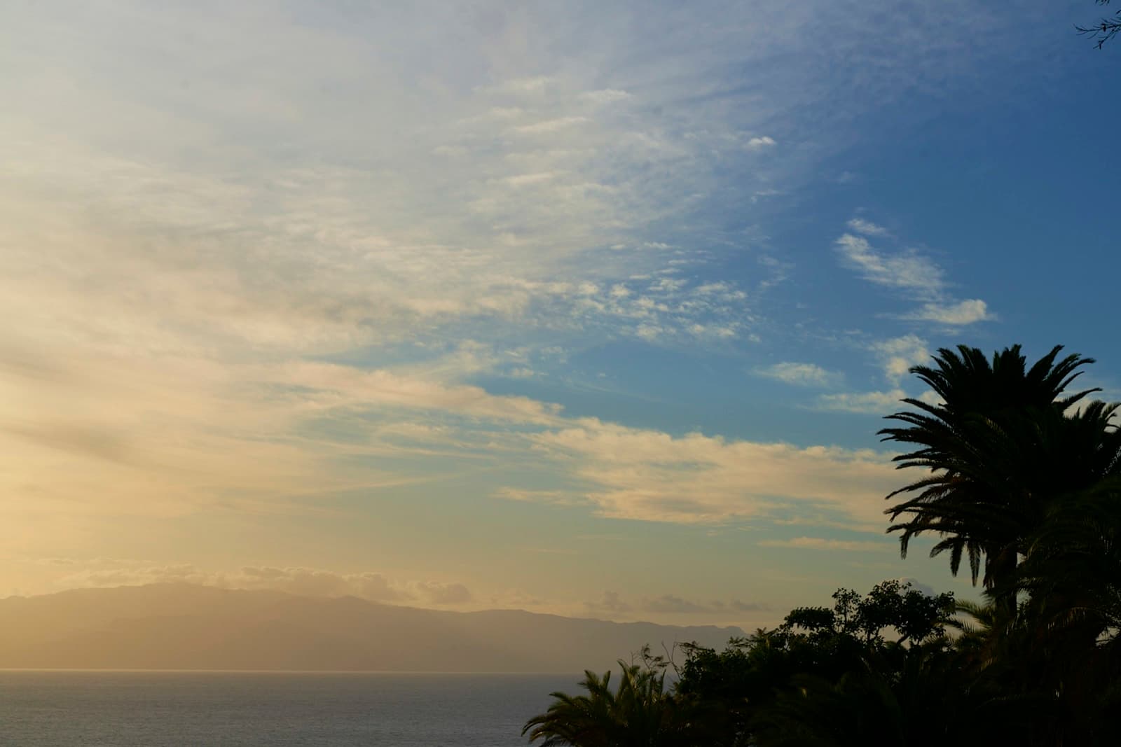 Banana farm in Tenerife Retreat Venue 1