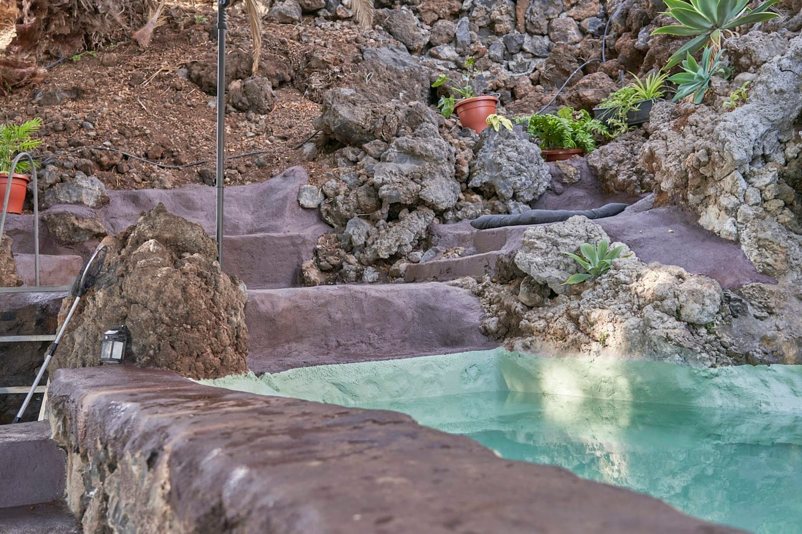Banana farm in Tenerife Retreat Venue 2