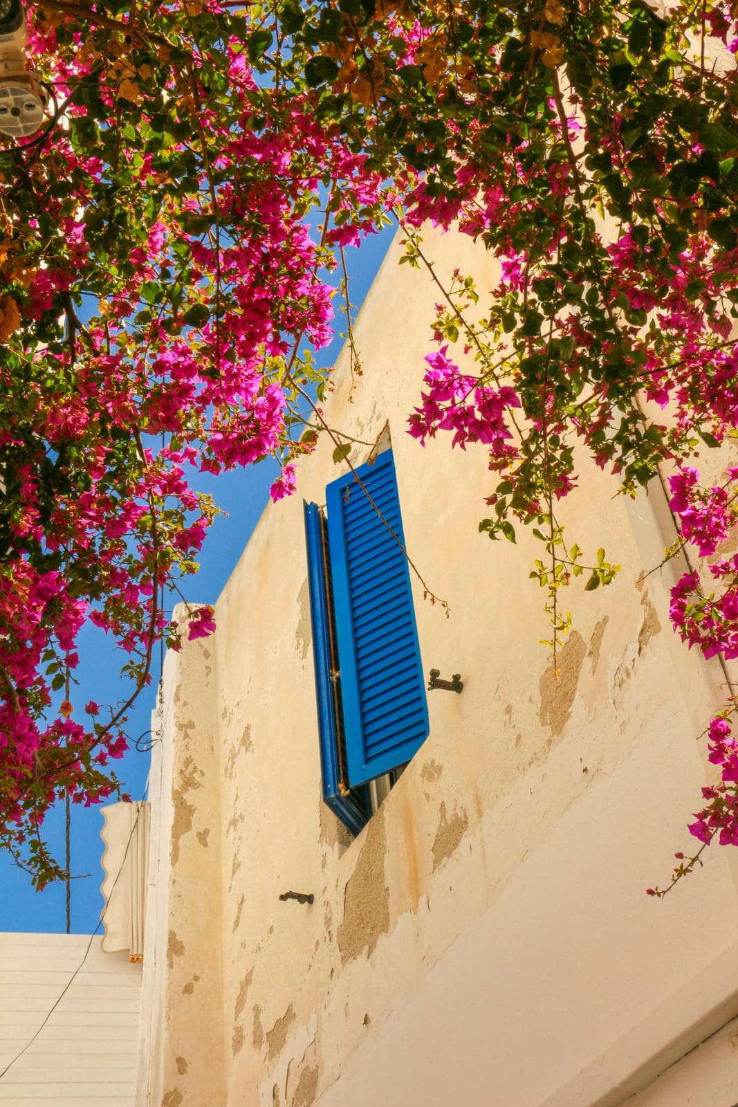 Aegean Mystic Retreat / 7 days of island-hoping & inspiratio 1