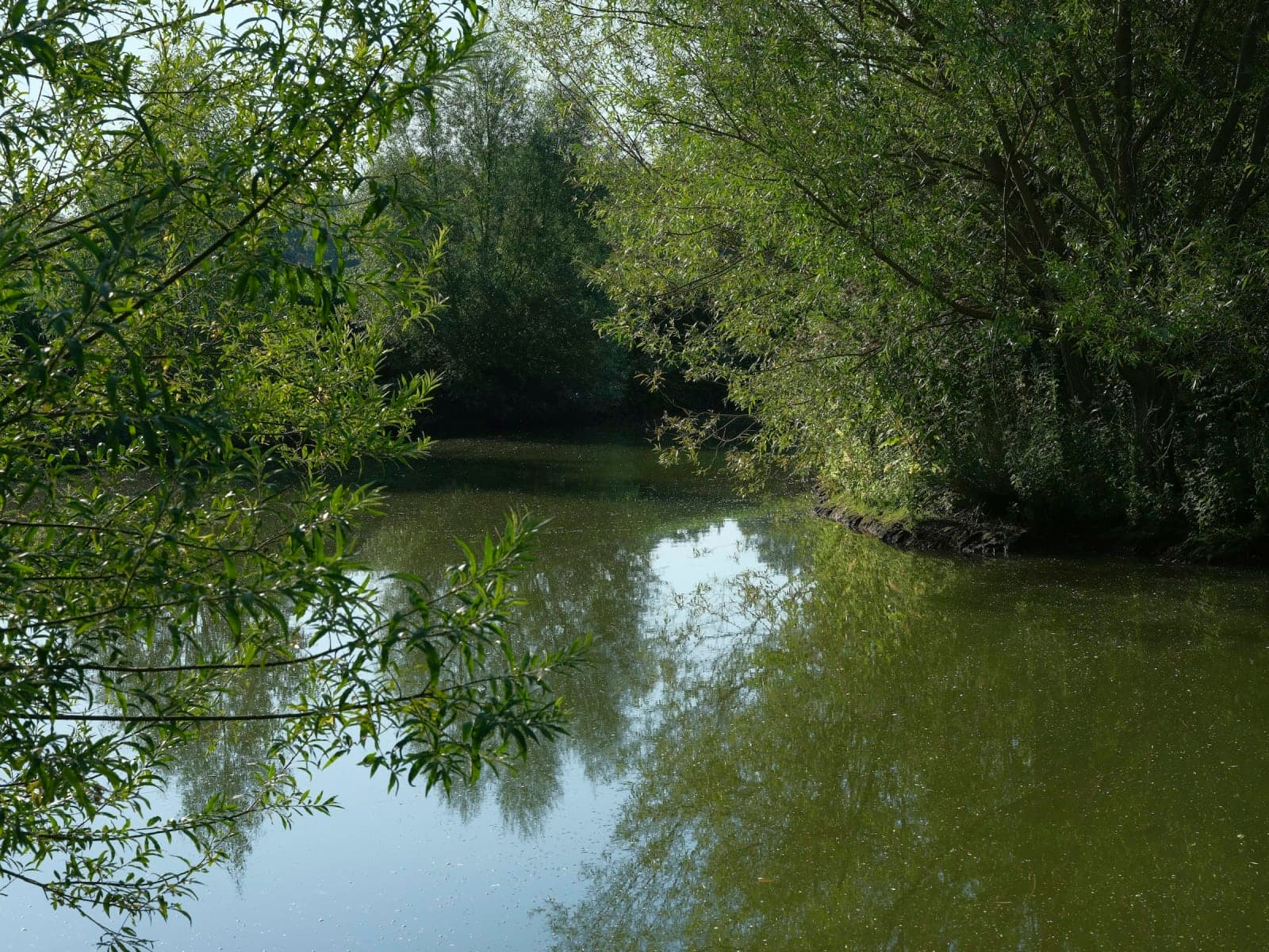 NATURE AND HEALTH STAY 3