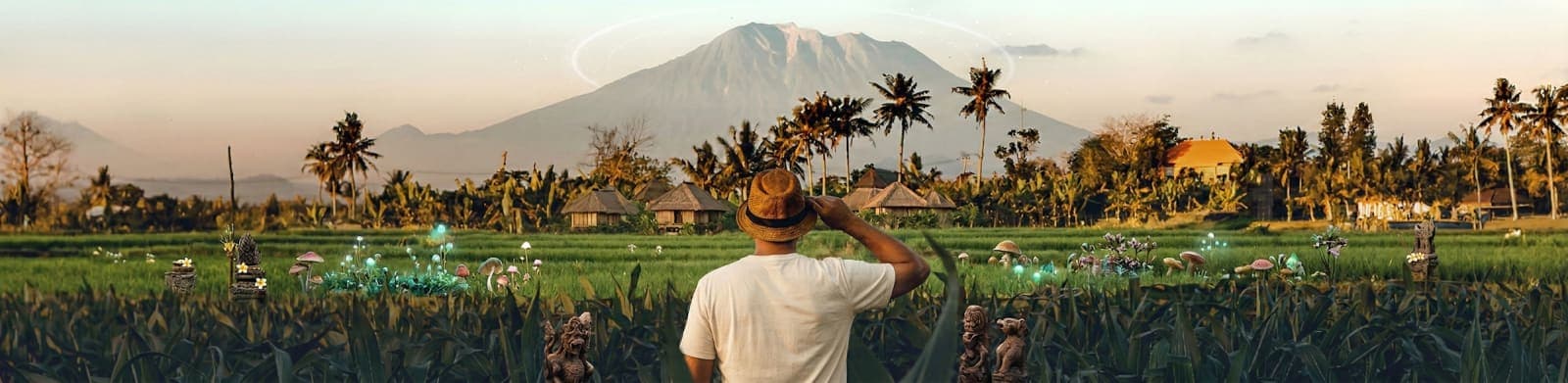 Bali PRIVATE 3 Days Psilocybin Retreat