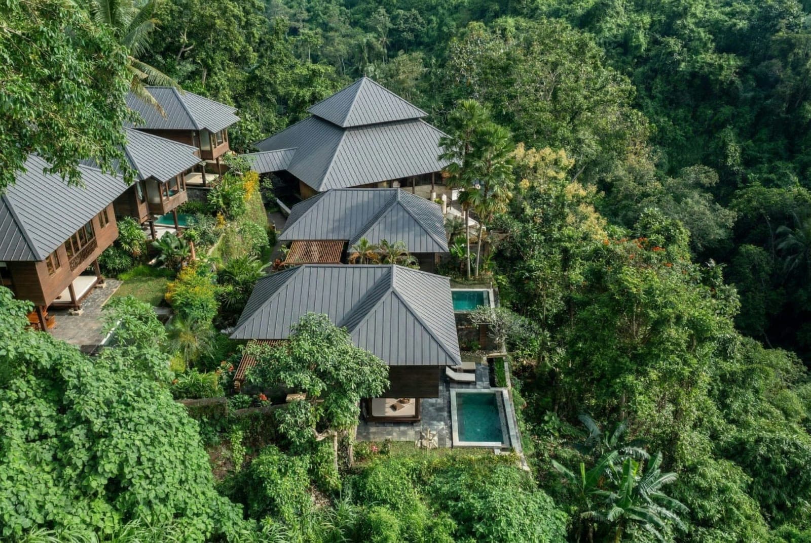 Bali PRIVATE 3 Days Psilocybin Retreat 2