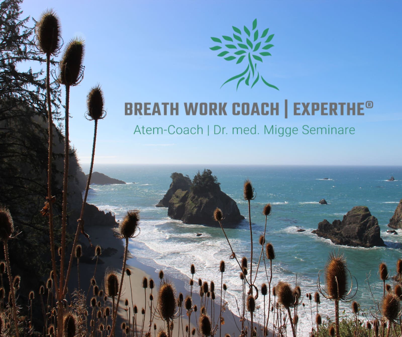 Thriving as an Introvert- Solo Coaching Retreat for Women 2