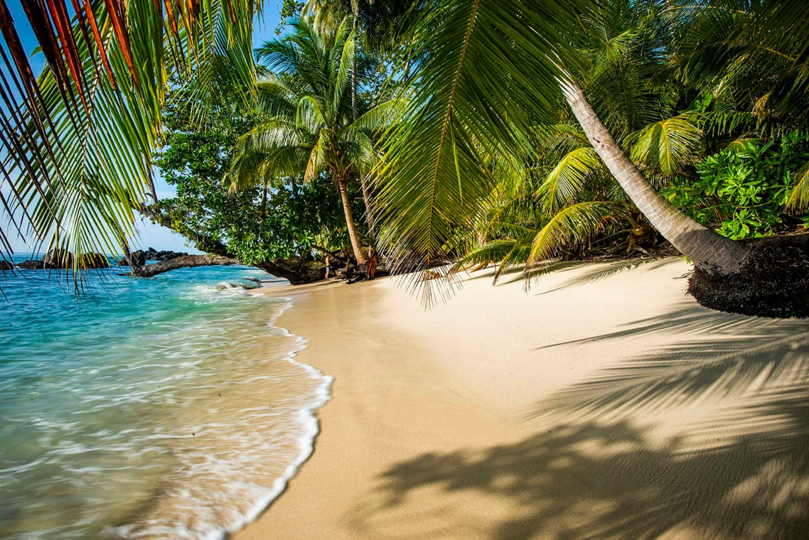 PINANG Island - Private Tropical Paradise 4