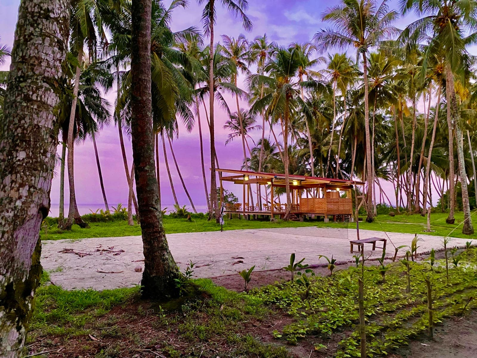 PINANG Island - Private Tropical Paradise 3