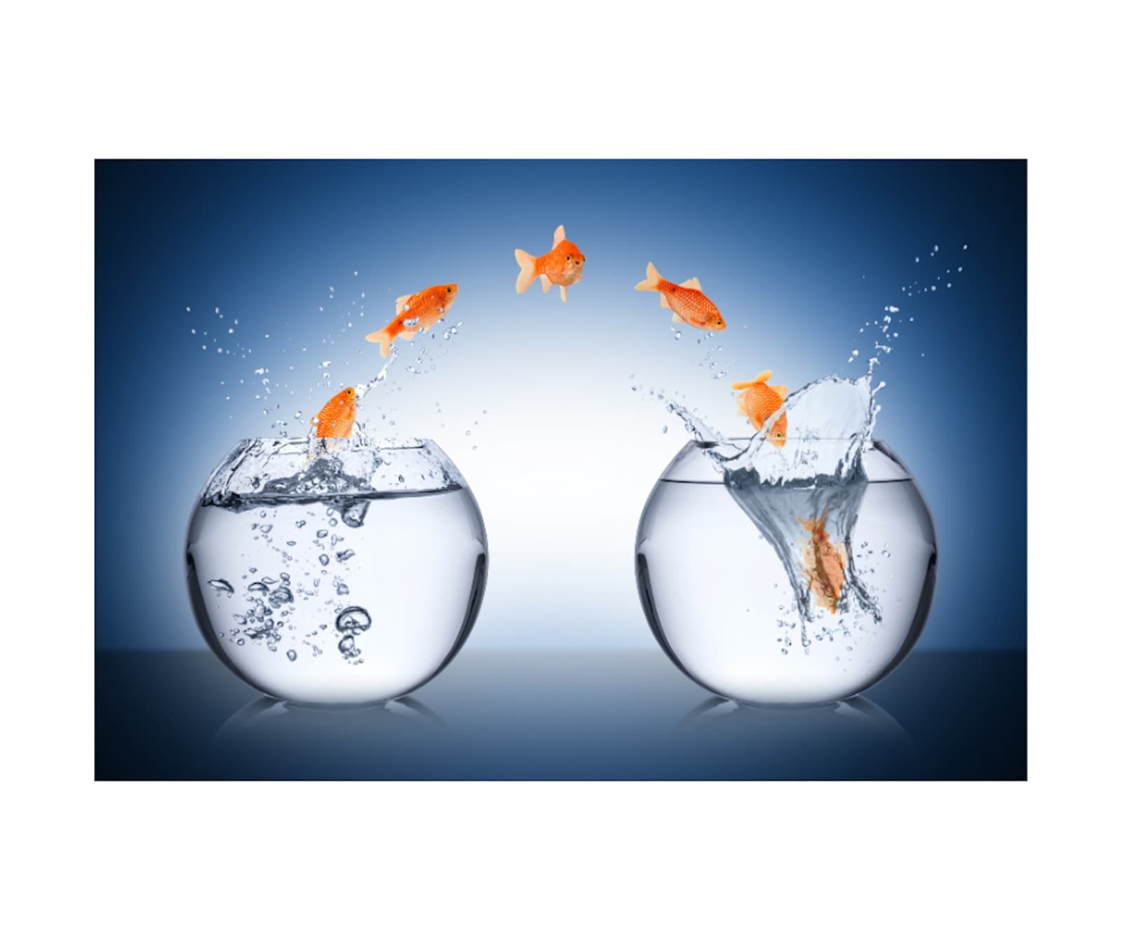 Career Crossroads - Solo Transformation Retreat for Women