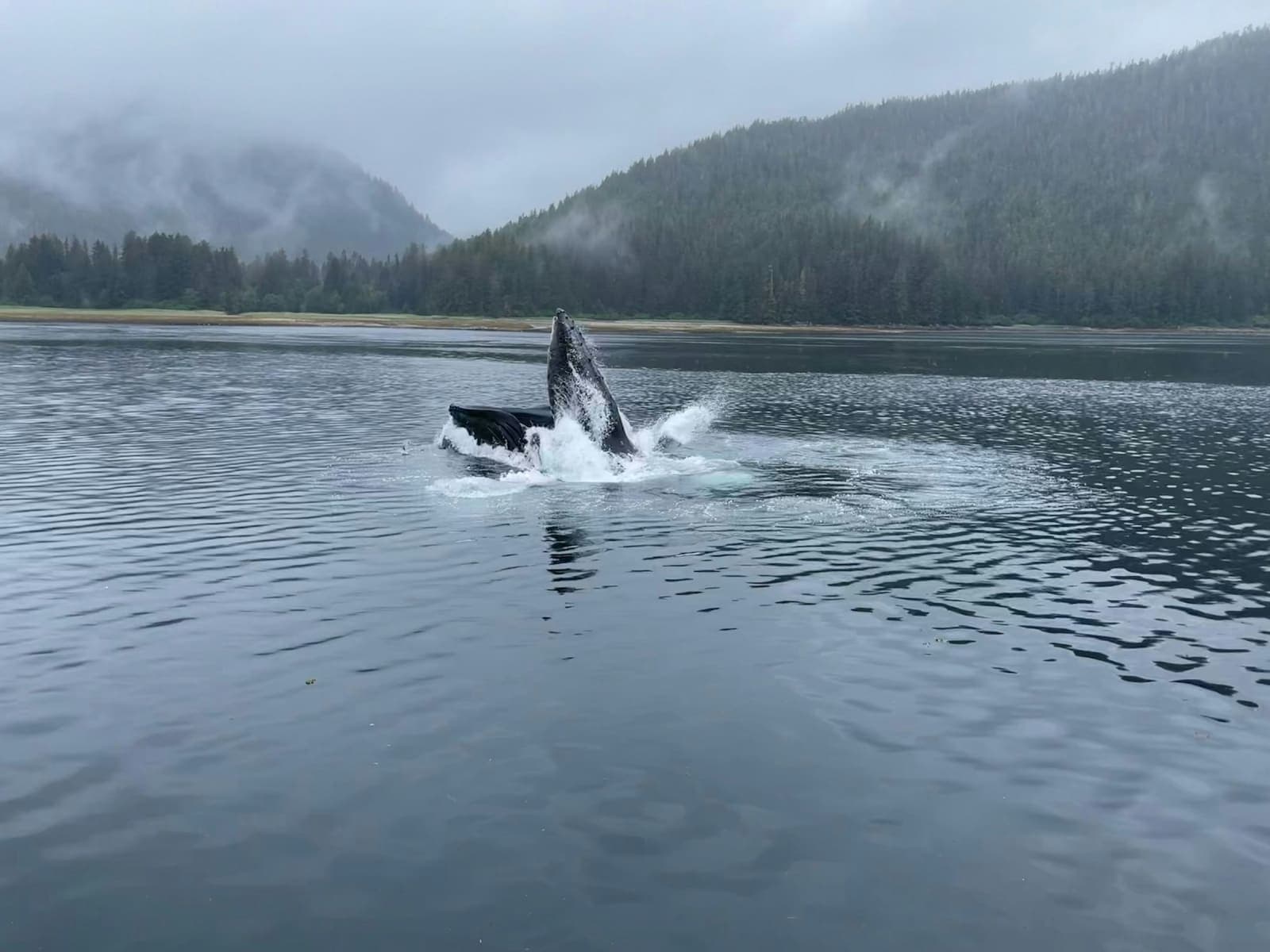 Stunning Alaskan Lodge 5