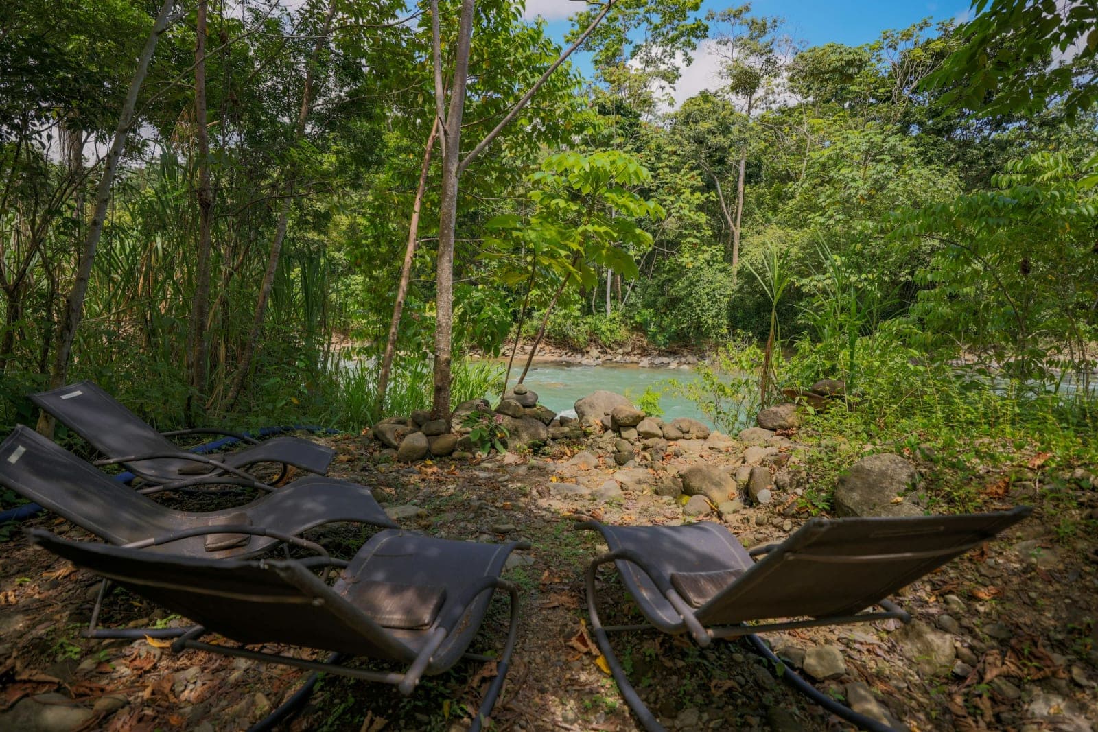 Transformative Health Retreats in Costa Rica 3