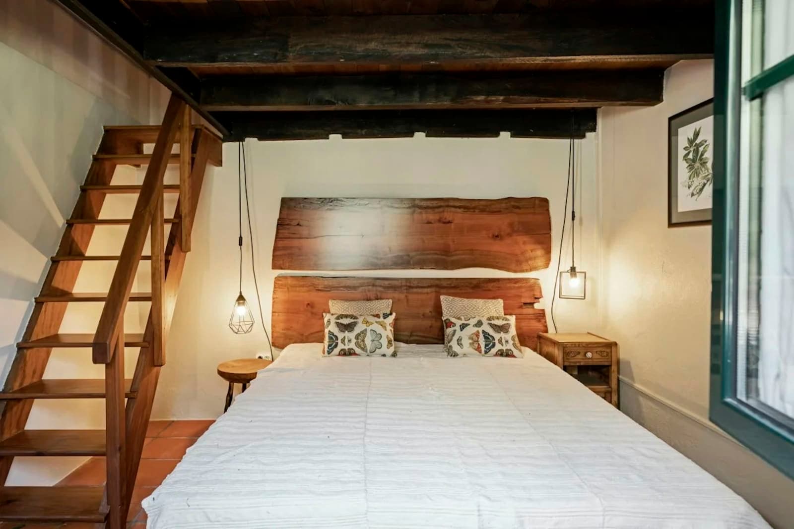 Rewild in Madeira: March 30-April 5 3