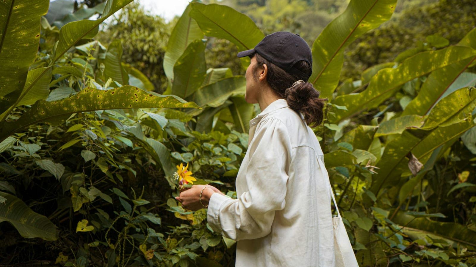 July 2026 | Wellness Retreat with Ancestral Techniques 4