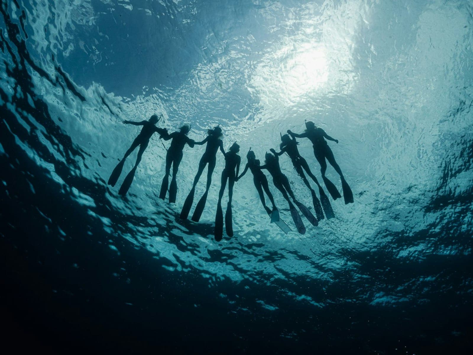 7-Day Ocean Awakening: Freediving Retreat in Thailand 5