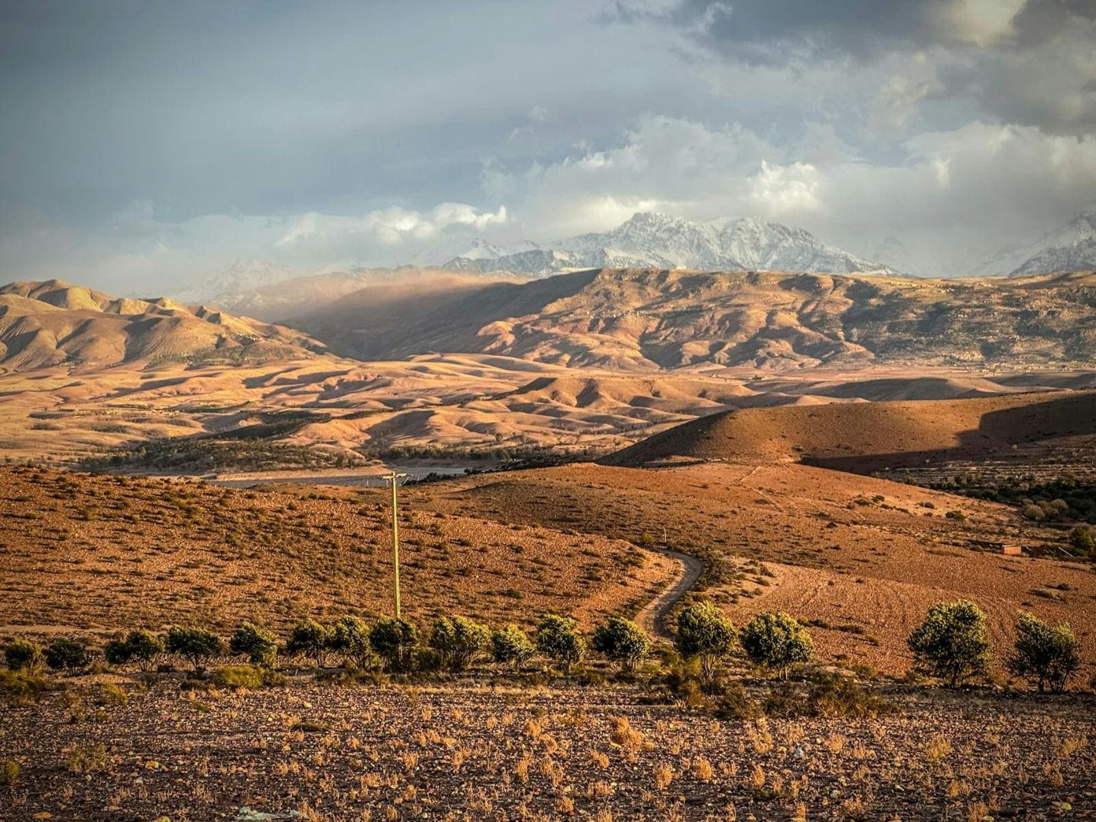 Burnout Recovery Yoga Retreat in the Sahara