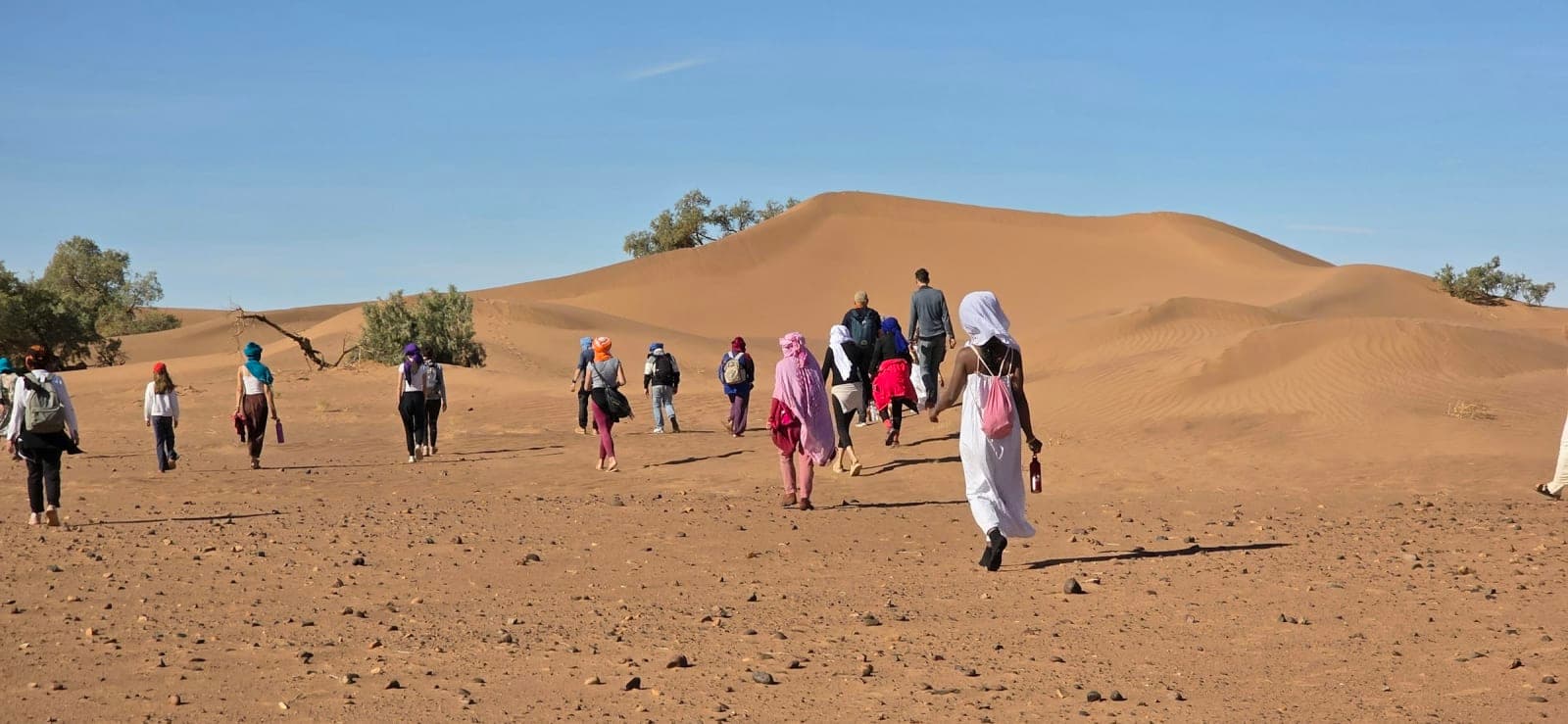 Magical Desert Retreat - Marocco 3