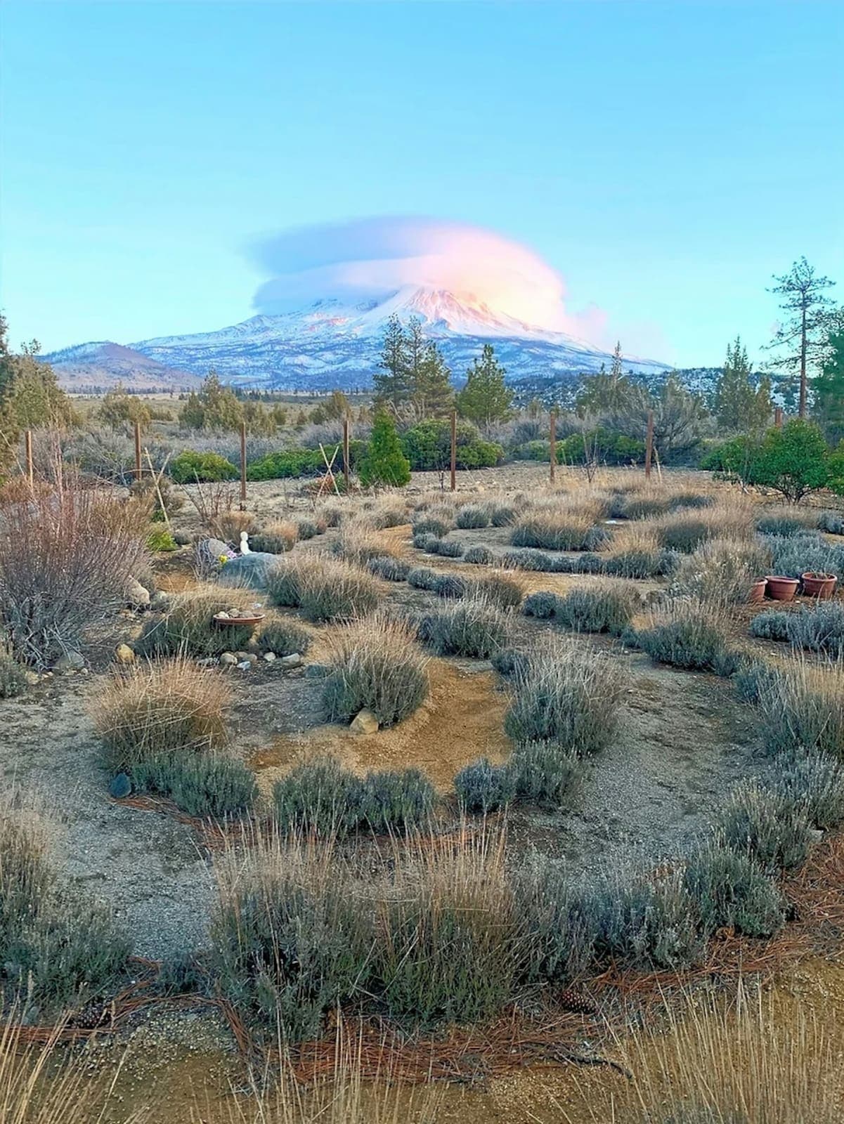 Retreat House with Sweeping Views at the Base ofMount Shasta 5