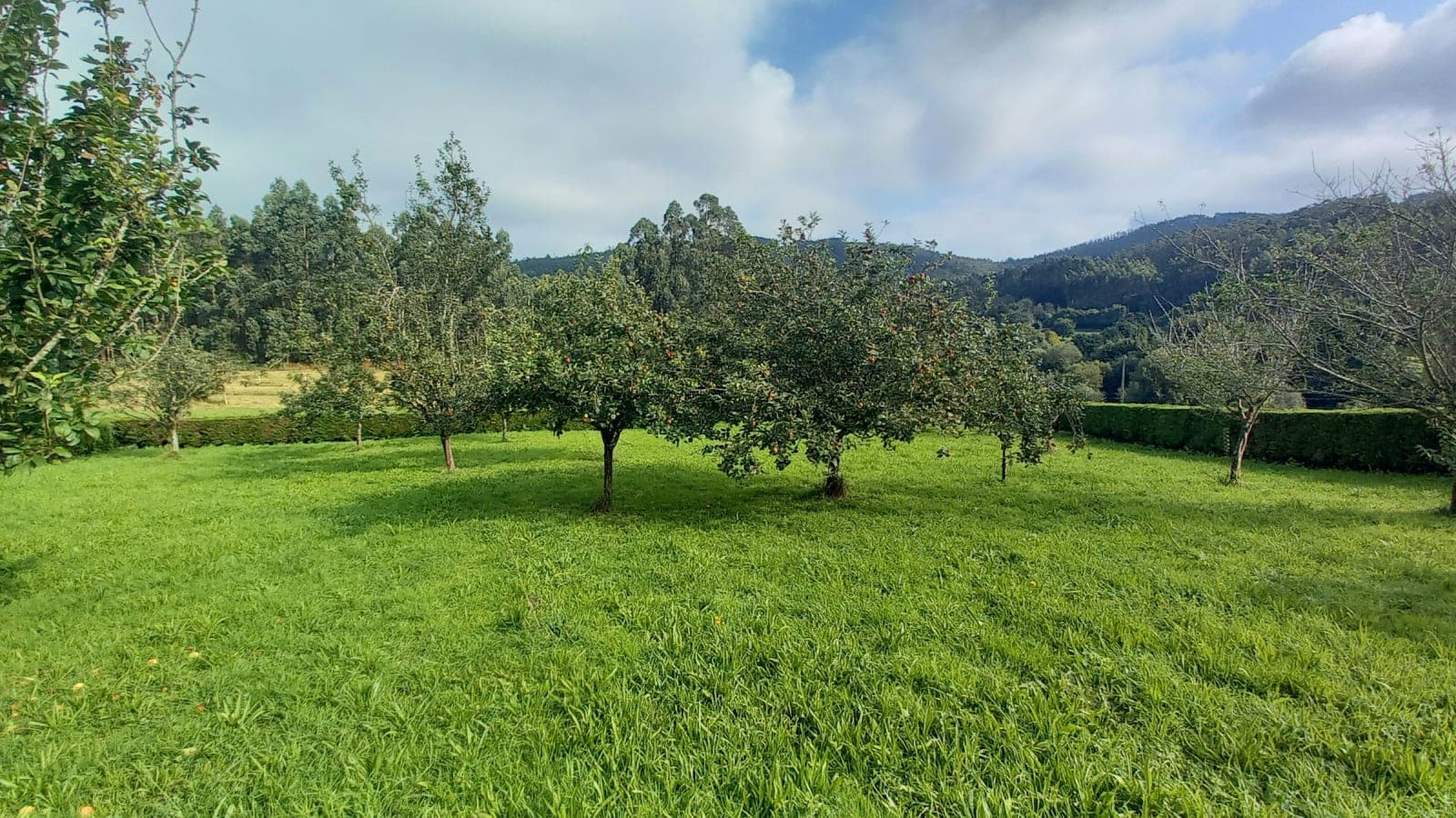 4 Day Yoga & Relaxation Retreat in Galicia 5