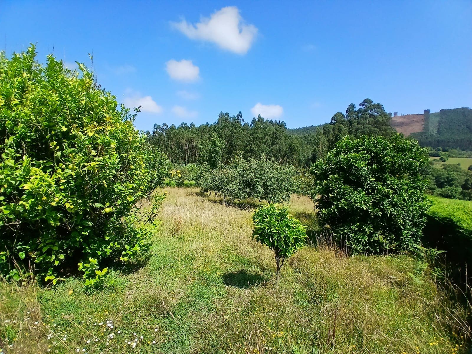 2 Day Mini Break in Green Galicia by the Sea 3