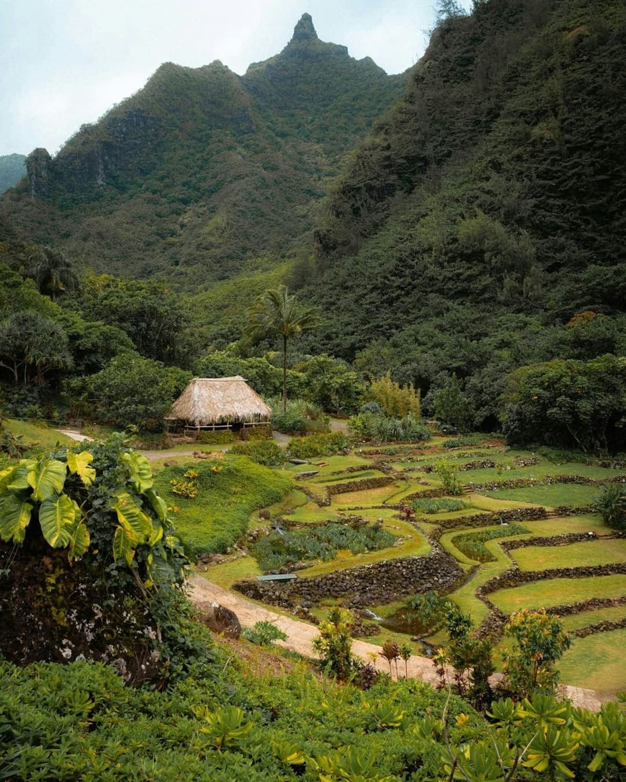 7 Day Daughters Of Kauai Women’s Wellness Retreat 4