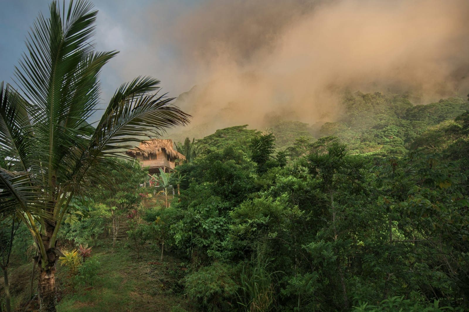 Nature Reserve Taorayiná 3