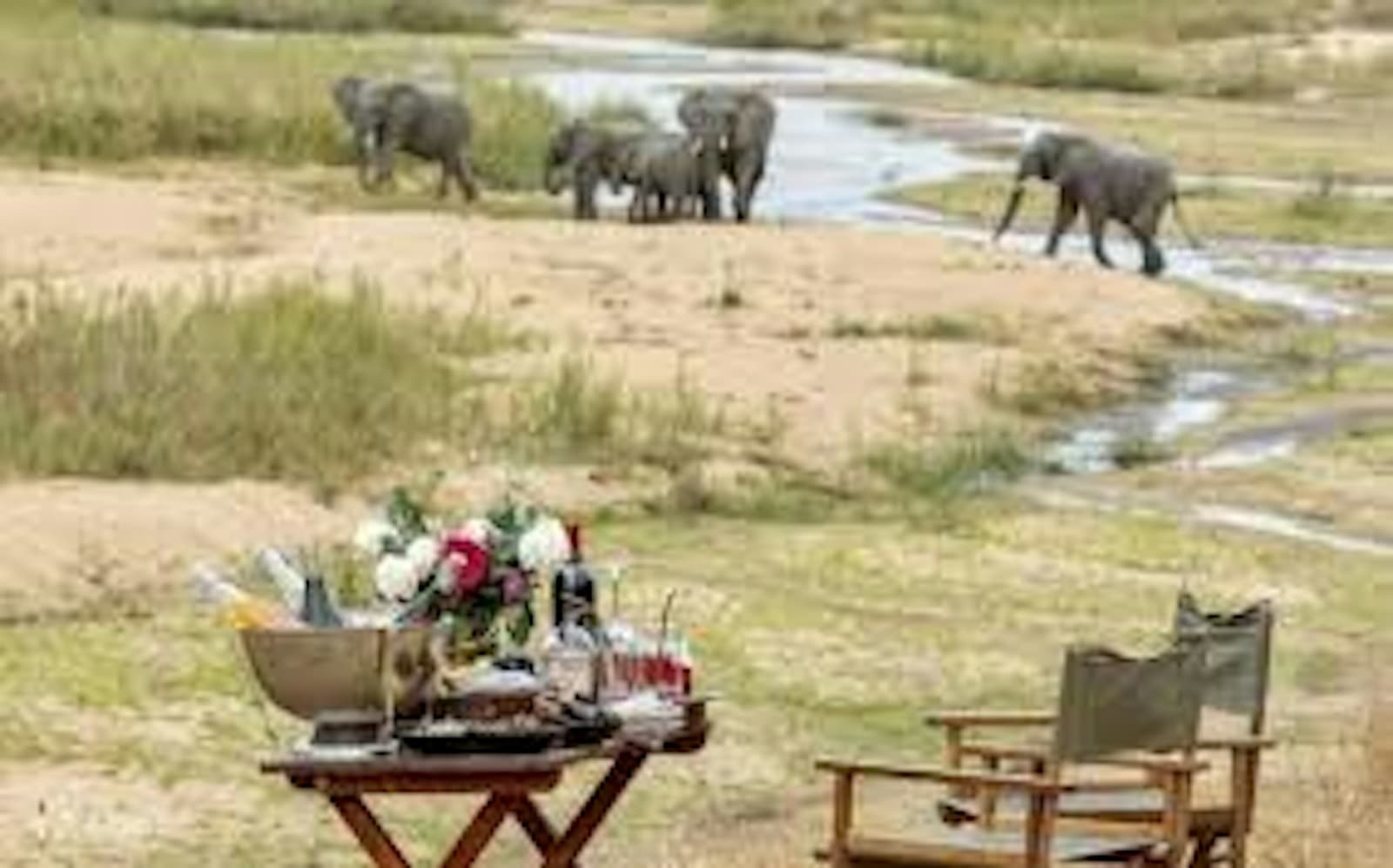 5 Day Luxury Womens Wellness Safari Retreat: Wild Awakening 4